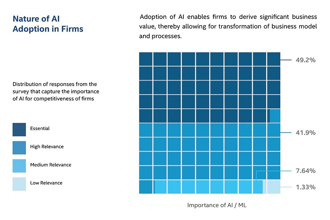Nature of AI adoption in firms