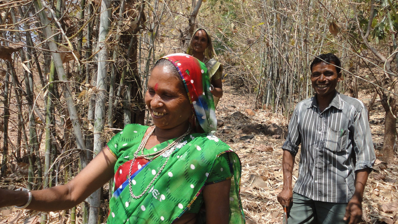 COMMUNITY FORESTS AND INDUSTRIAL SUPPLY CHAINS IN GUJARAT