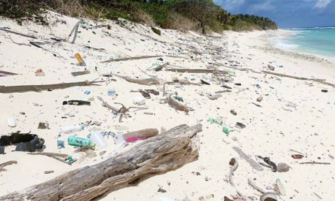 塑料垃圾被冲到了一个偏远的海滩上.