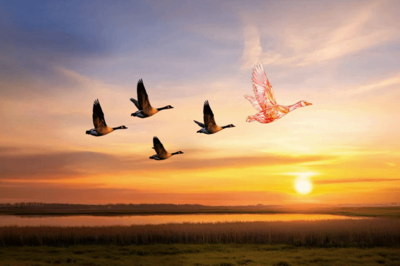 Autonomy requires trust in AI