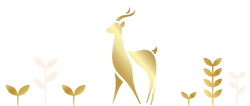 Indriya Logo