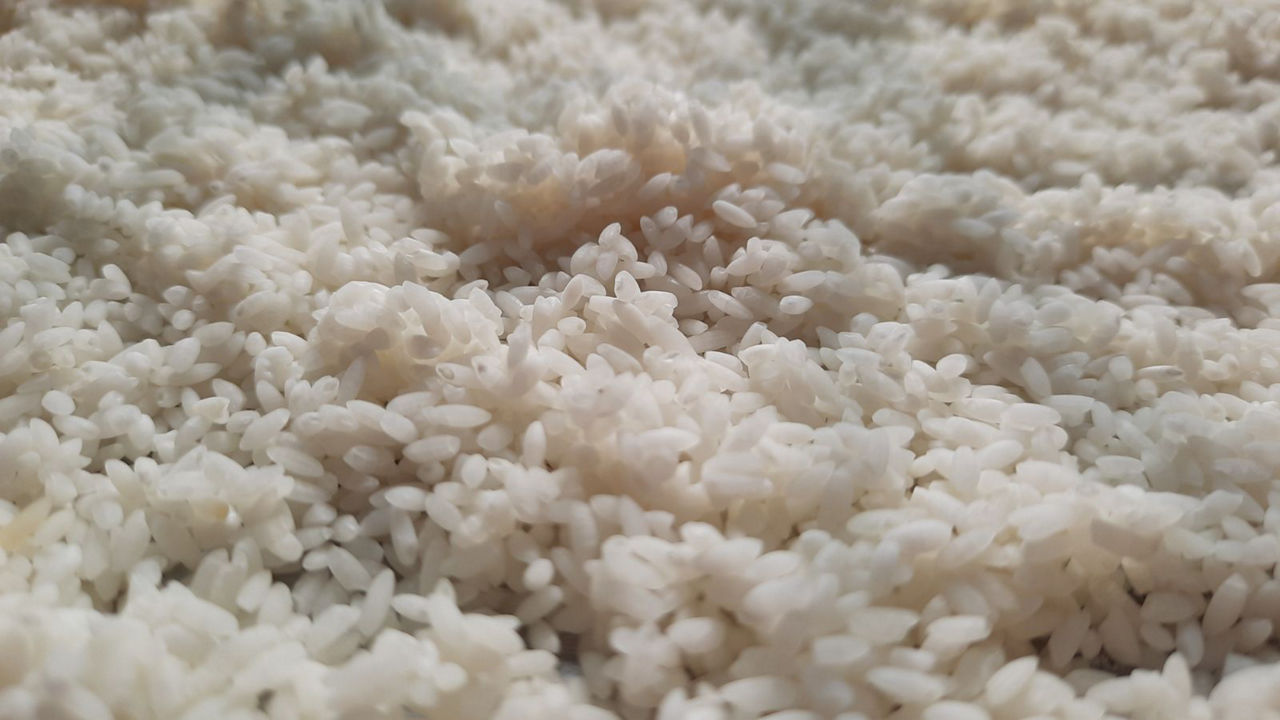Close-up of uncooked white rice grains
