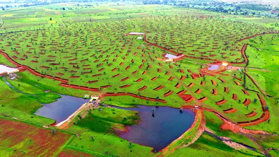 Biodiversity Conservation