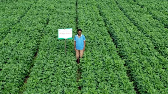 Climate Smart Agriculture 