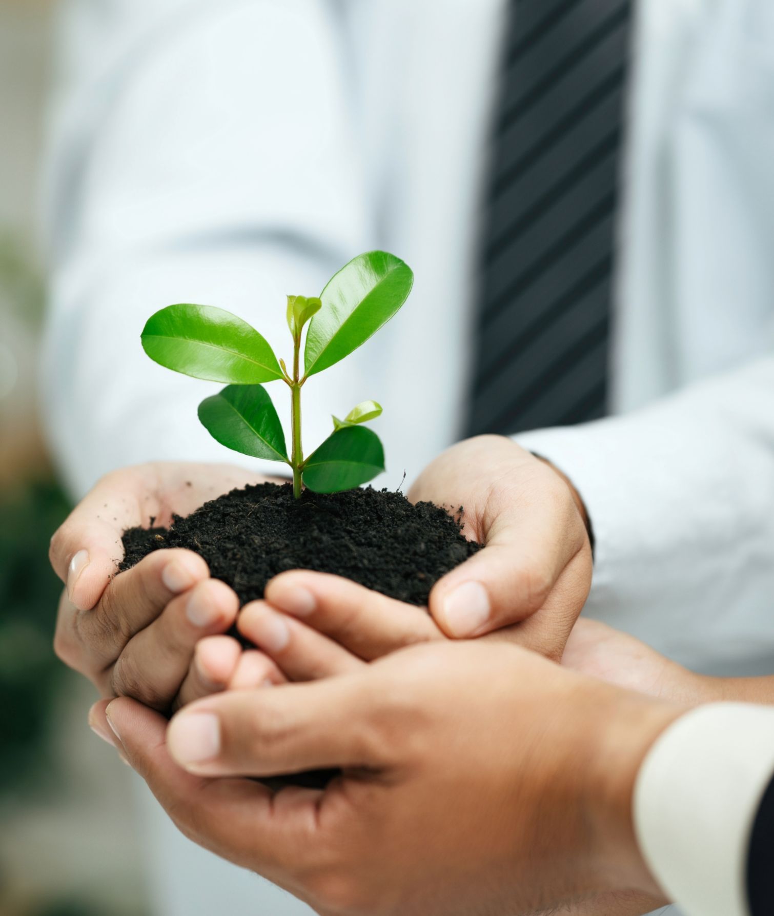 Sustainability: The Evolution Driving Business Growth, image size:1510x1787