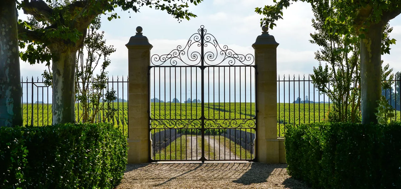 Luxury iron gate to the entrance of a vineyard near St-Emilion, France