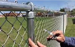 सहनशीलता