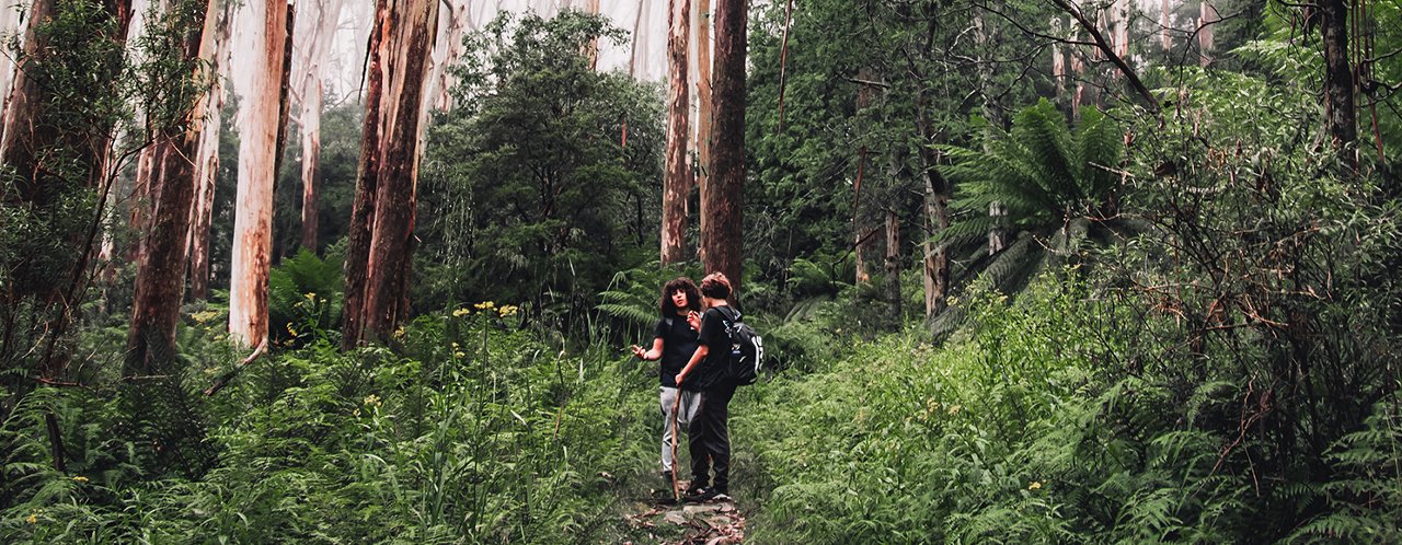 people hiking