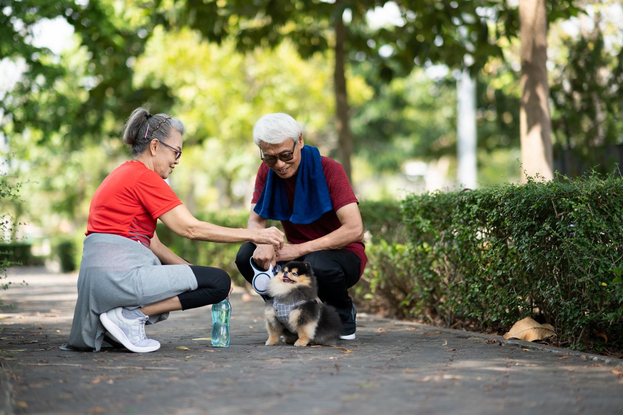 An elderly Asian couple plays with their dog at the park.