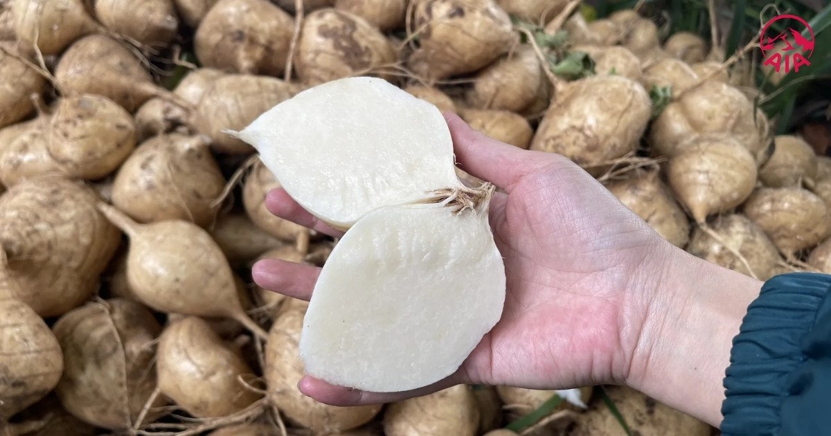 Những lưu ý cho người tiểu đường khi ăn củ sắn