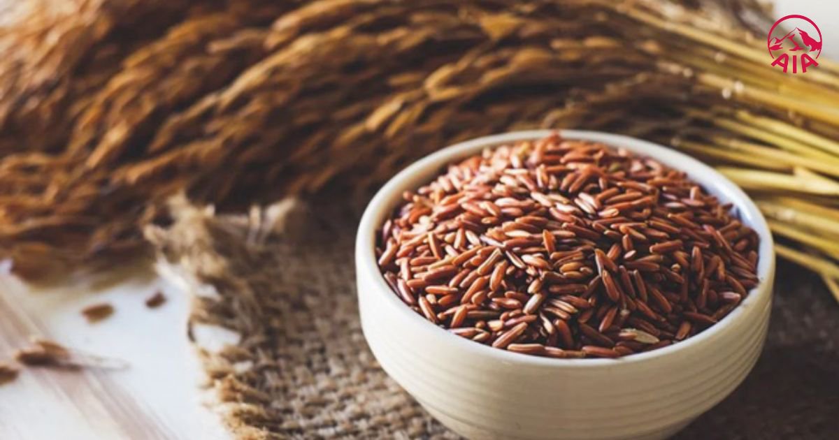 Gạo lứt giúp ổn định đường huyết và hỗ trợ tim mạch cho người bị tiểu đường