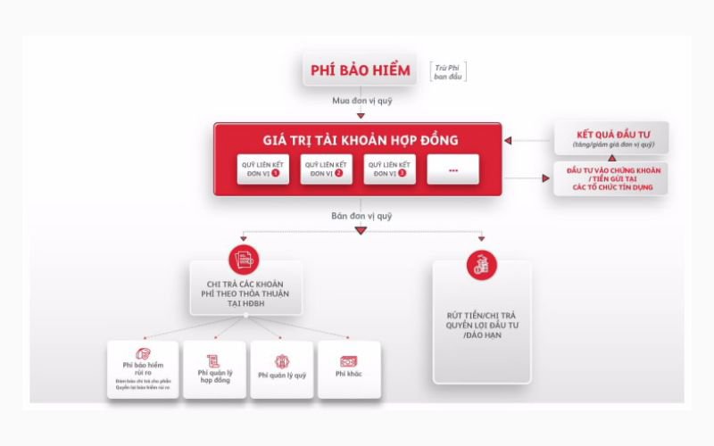 cơ chế hoạt động của bảo hiểm liên kết đơn vị