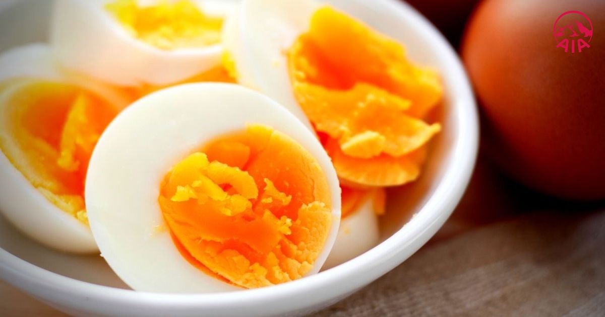 Trứng cung cấp protein và dưỡng chất cần thiết cho cơ bắp