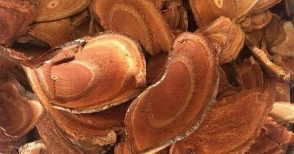 Tìm hiểu cây cỏ máu có tác dụng gì?