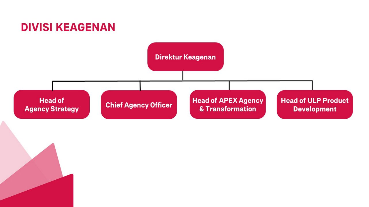 DIVISI KEAGENAN - Struktur Organisasi AIA 2024