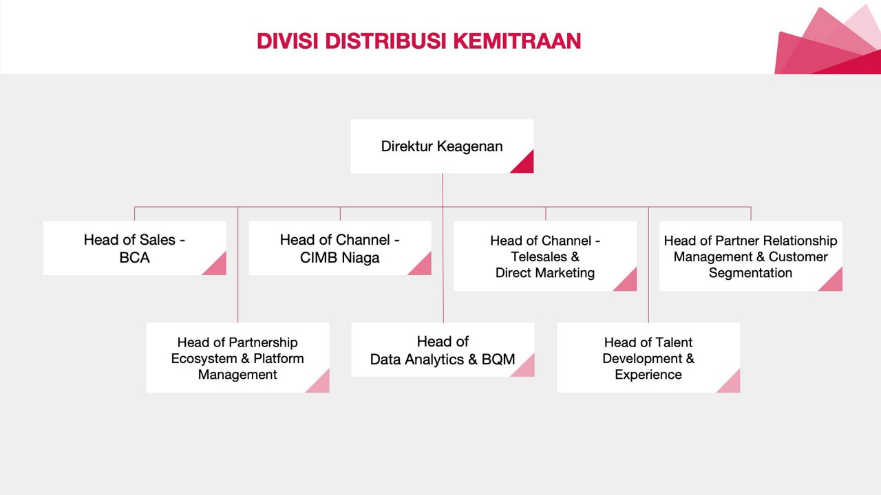 DIVISI DISTRIBUSI - Struktur Organisasi AIA 2024