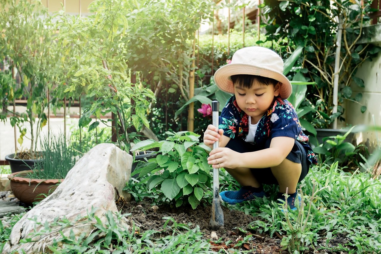 Asian boy dig shoveling in vegetable garden plot. Gardening concept.