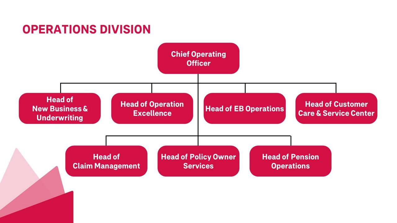 OPERATION DIVISION - Struktur Organisasi AIA 2024