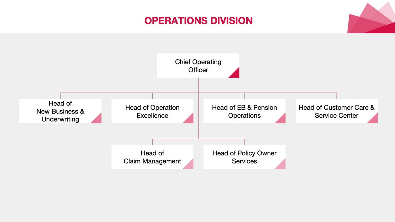 OPERATION DIVISION - Struktur Organisasi AIA 2024