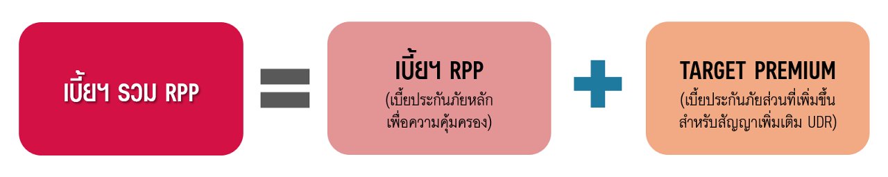 PPR UDR