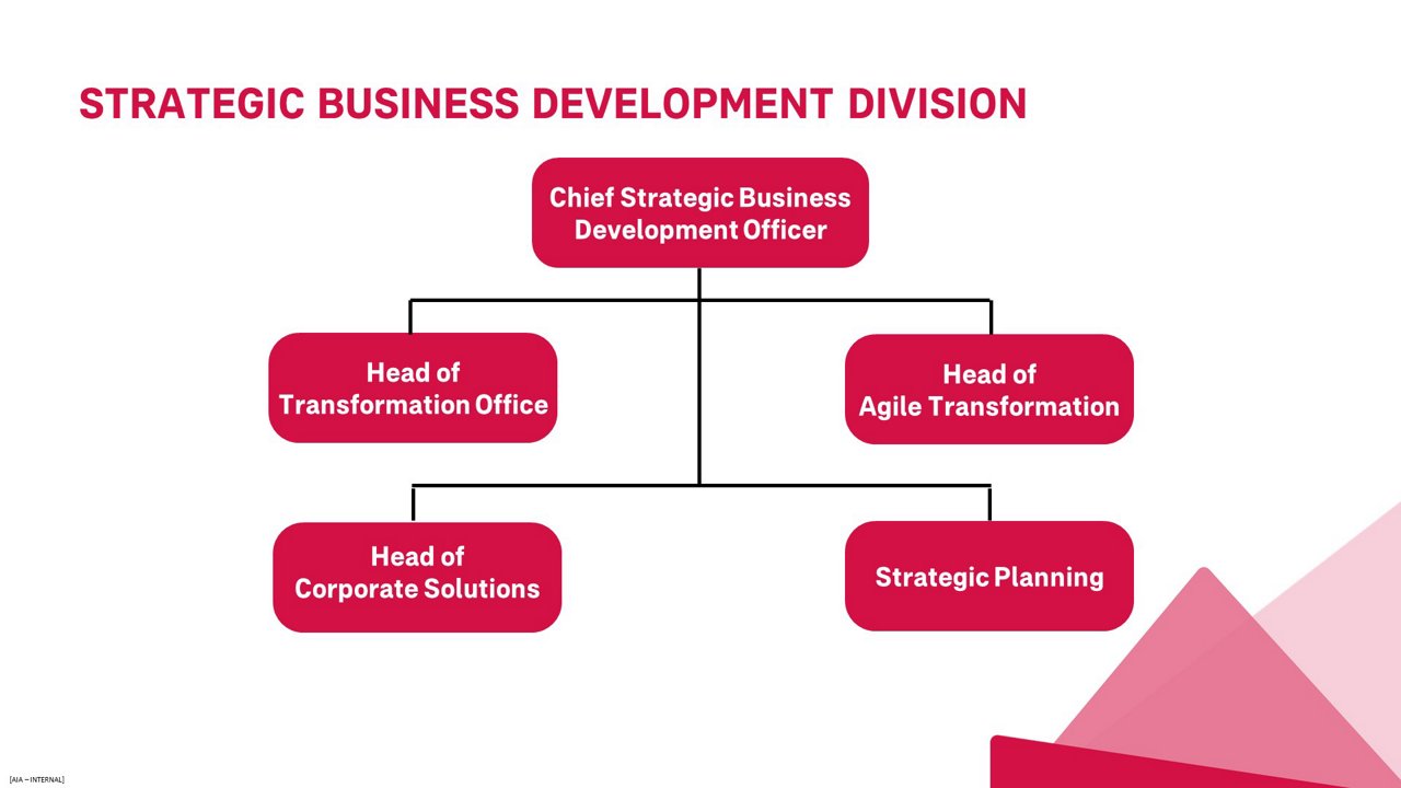 STRATEGIC BUSINESS DEVELOPMENT DIVISON - Struktur Organisasi AIA 2024