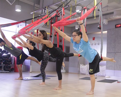 Beginners Workout Series: Aerial Yoga, Knowledge Hub