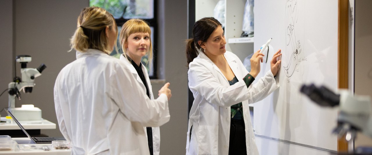 Two women in lab coats collaboratively writing on a whiteboard filled with diagrams and notes.