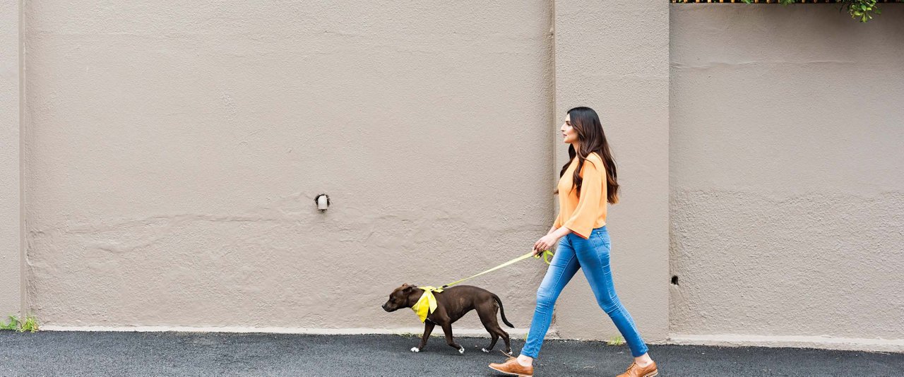 A woman is seen walking her dog on a leash along a path in a vibrant outdoor setting