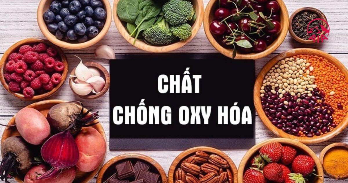 Định nghĩa chất chống oxy hóa là gì