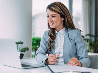 Adviser looking at computer