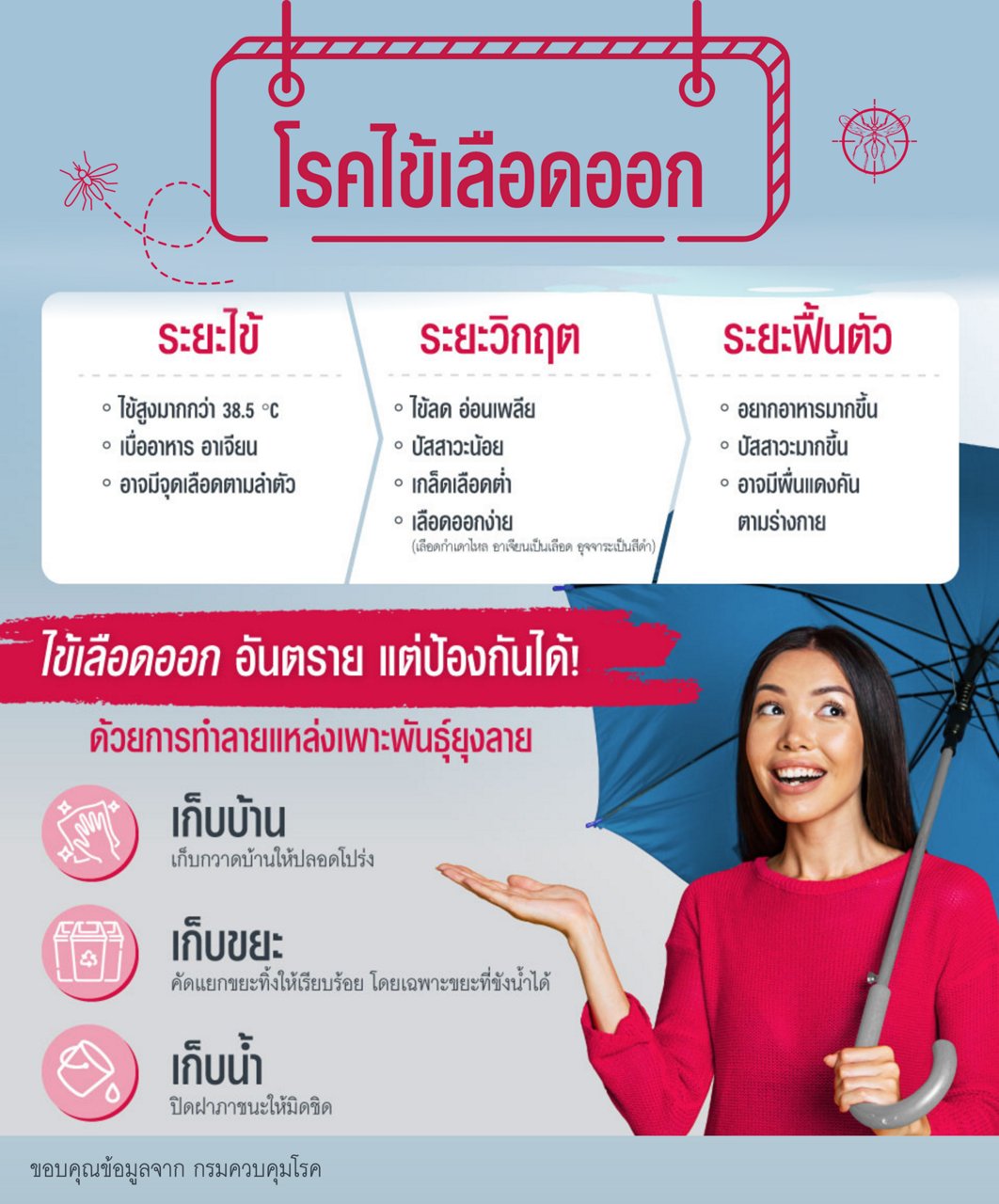 ไข้เลือดออก