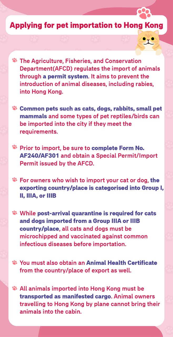 Guide to Moving Your Pets to Hong Kong