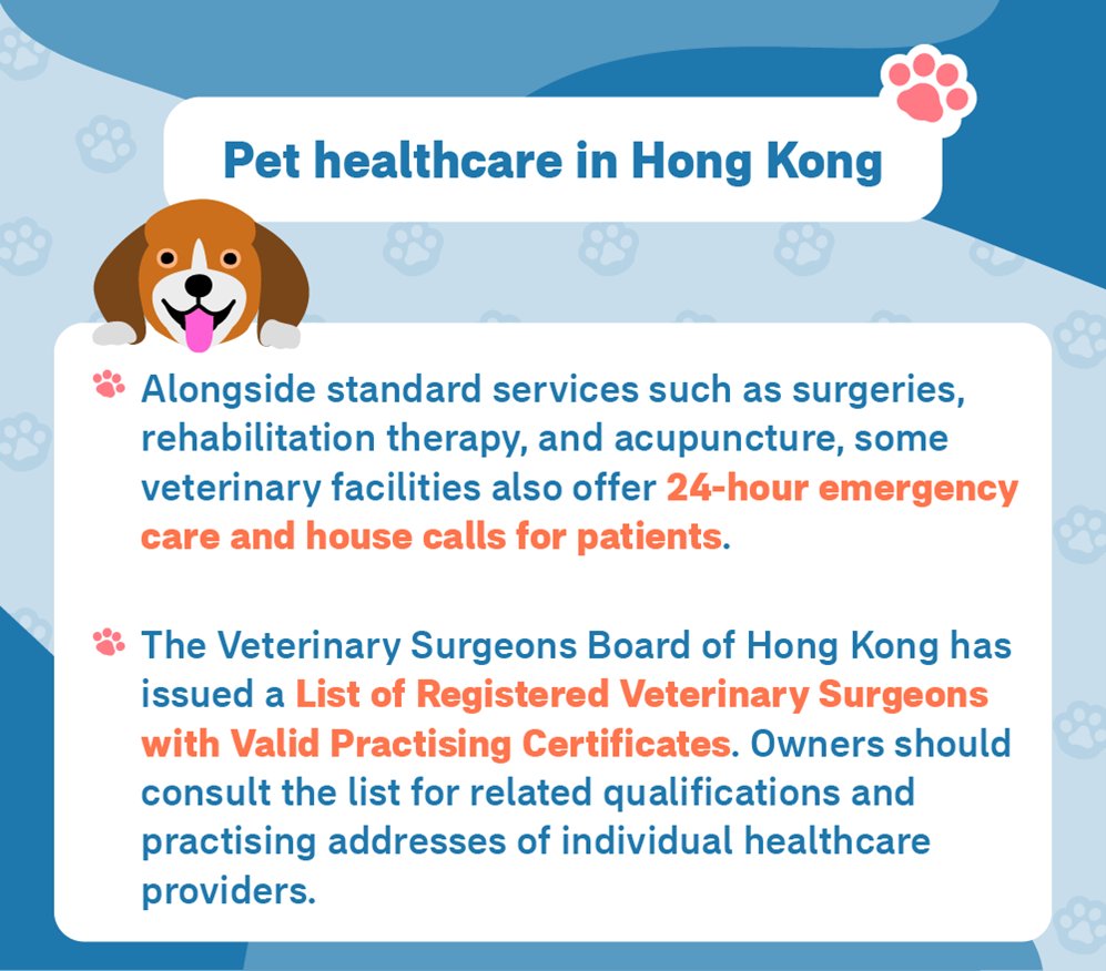 Guide to Moving Your Pets to Hong Kong