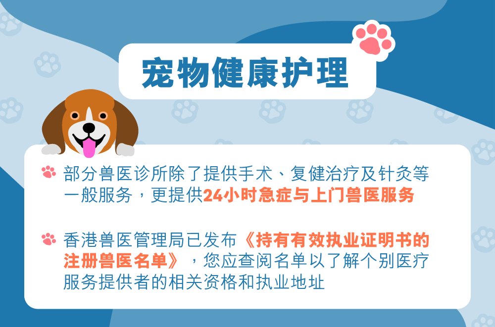 宠物移居香港指南