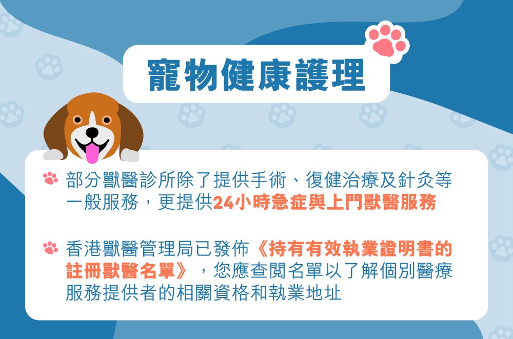 寵物移居香港指南