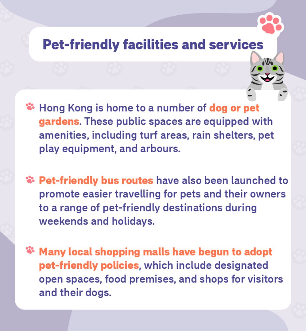 Guide to Moving Your Pets to Hong Kong
