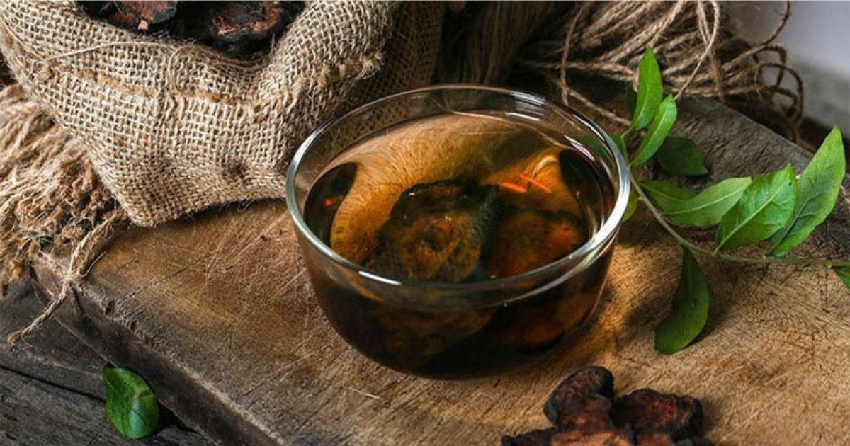 Hà thủ ô có tác dụng gì? Những lưu ý khi sử dụng