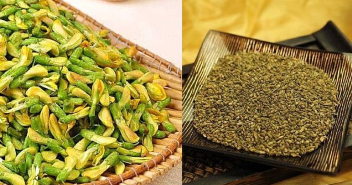 khi sử dụng hoa hòe cần lưu ý một số điều