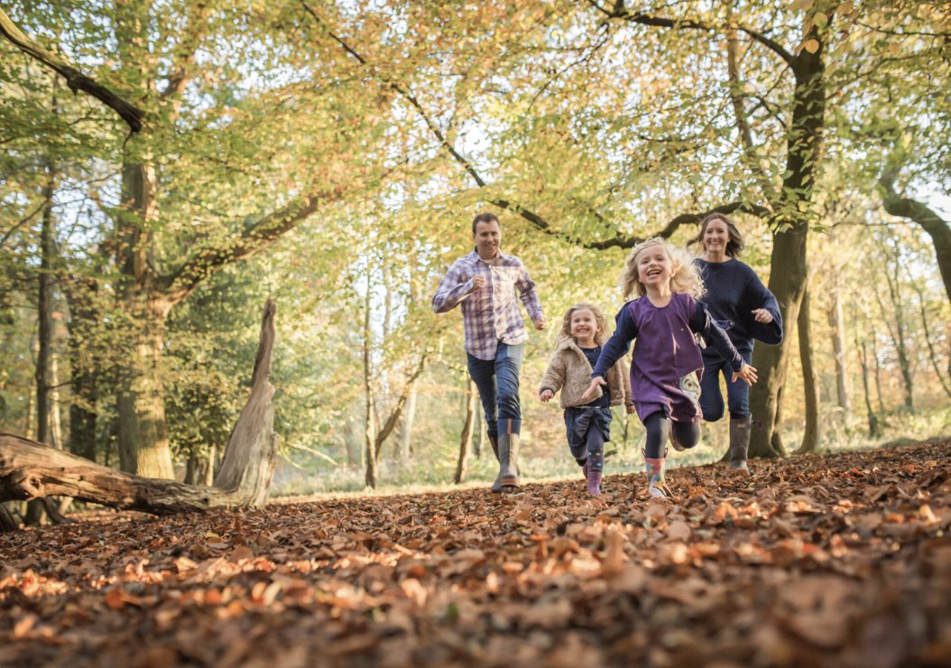 A joyful family running together through a lush green forest, surrounded by tall trees and dappled sunlight.