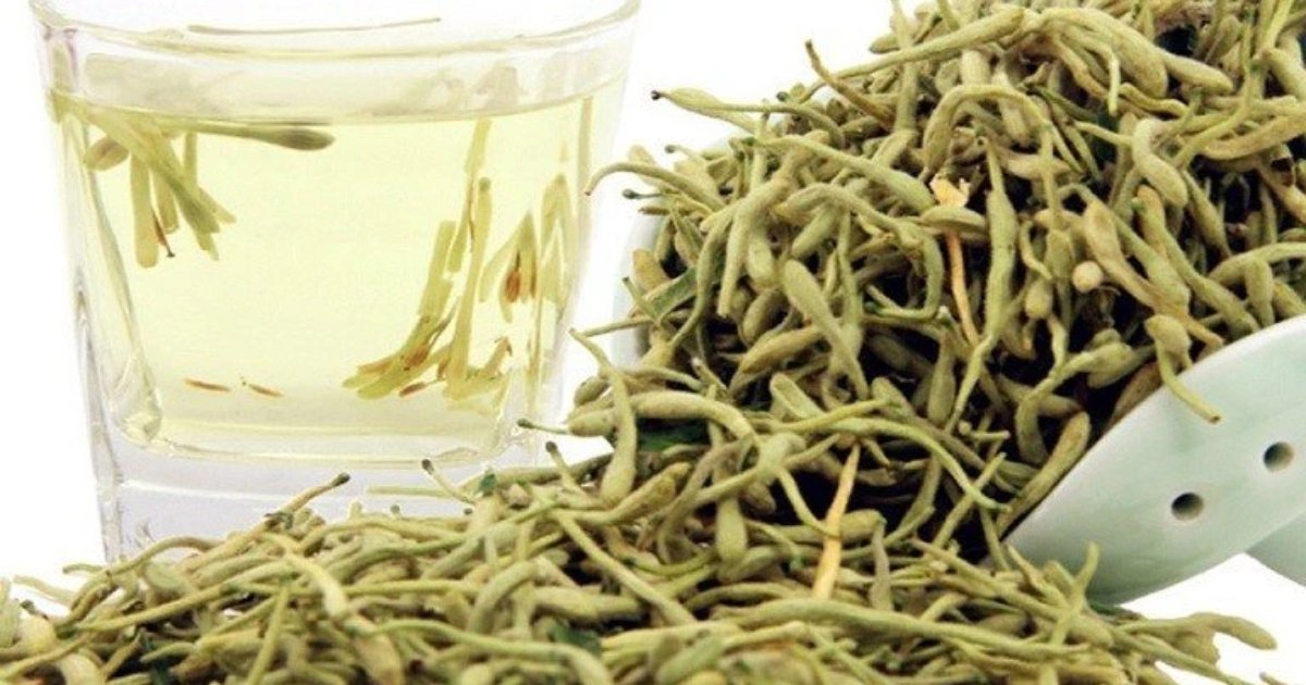 bài thuốc từ cây kim ngân hoa