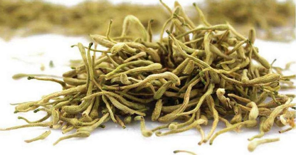 Cây kim ngân hoa có tác dụng gì? Một số bài thuốc từ kim ngân hoa | AIA  Vietnam