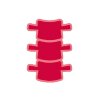 Spine icon