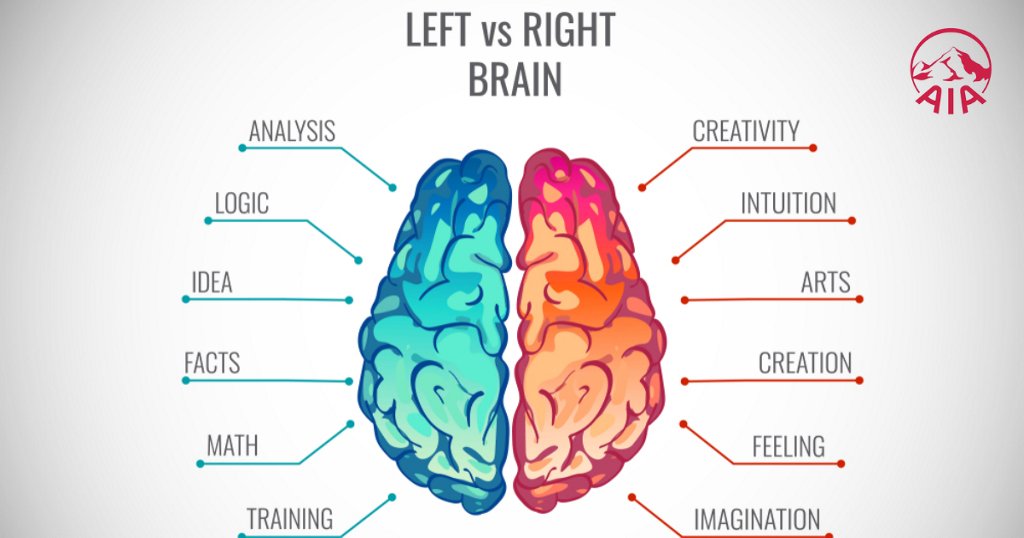 6. Lợi ích của việc hiểu rõ thiên hướng não trái - não phải