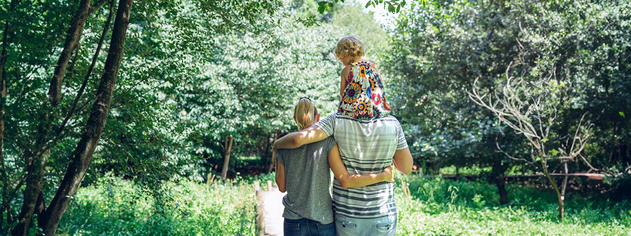 A family walks down a shaded path in a park; a child sits on an adult's shoulders, both facing away from the camera.