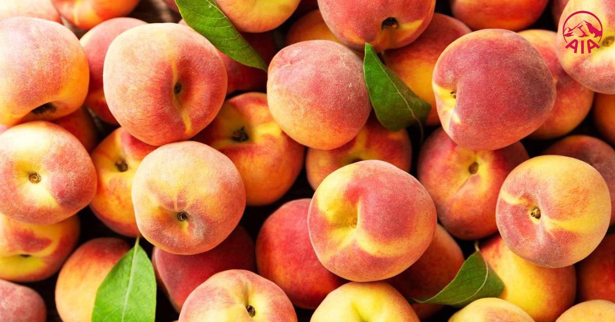 Bài viết - WISE- nguoi-benh-tim-nen-an-trai-cay-gi-9