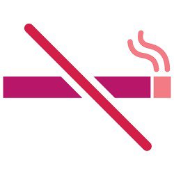 Non-smoker icon