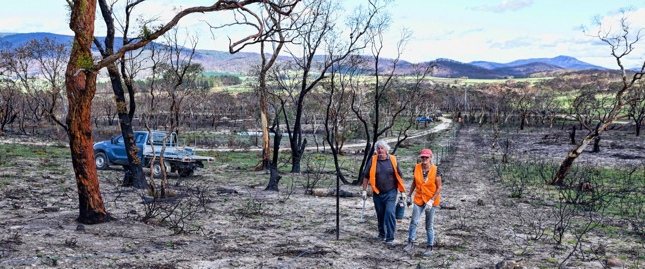 wo individuals stand in a field surrounded by charred trees, highlighting the aftermath of a recent wildfire.