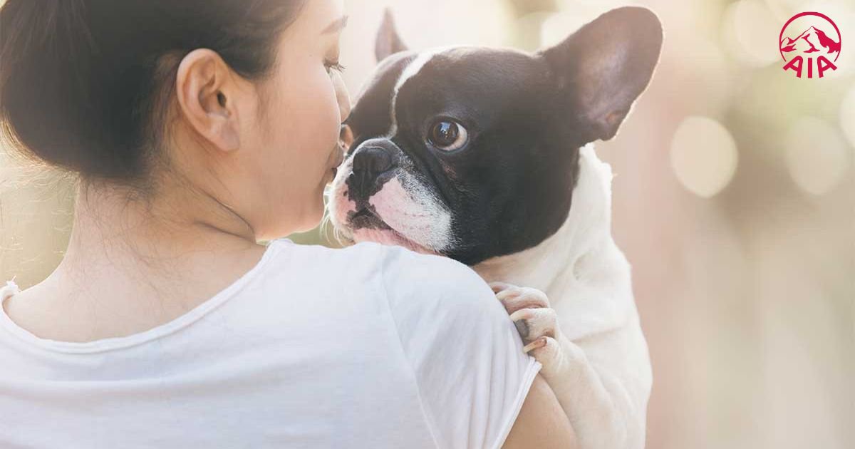 Chăm sóc thú cưng giúp giảm căng thẳng, hỗ trợ sức khỏe tim mạch