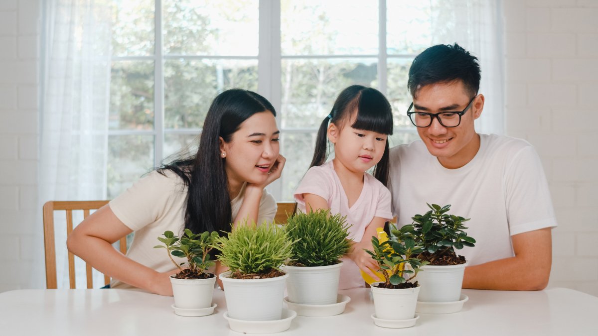 一家人正在為植物澆水