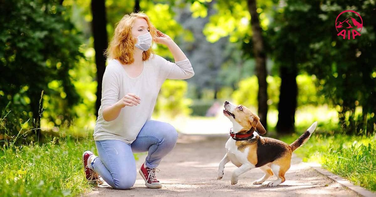 Nuôi thú cưng sẽ giúp bạn bớt cảm thấy cô đơn